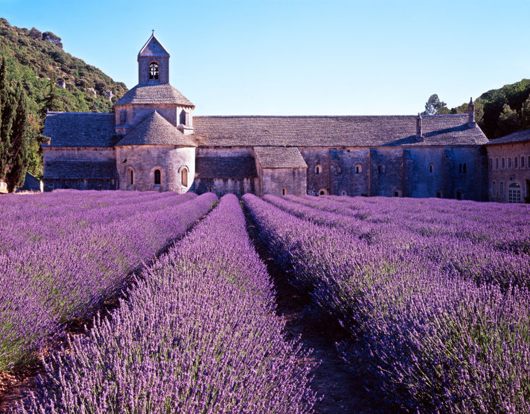 Sénanque Abbey, a Cistercian abbey near the village of Gordes, Vaucluse in Provence, France. lavender fields - as seen on linenlavenderlife.com